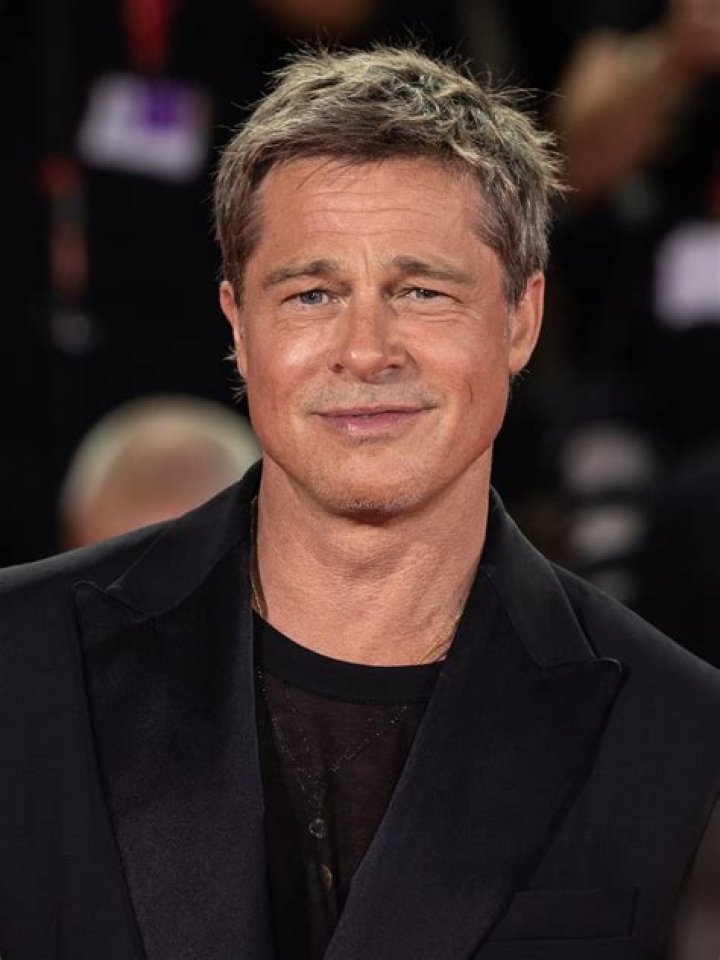 Brad Pitt’s Legal Custody Documents — PICS
