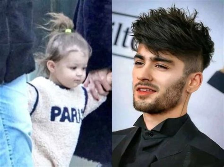 Gigi Hadid Claps Back At Jake Paul After He Calls Her BF Zayn Malik A ‘Little Guy’
