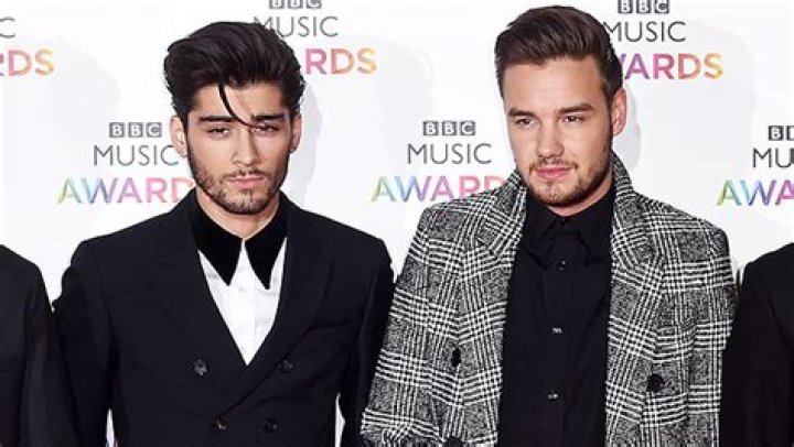 Liam Payne Teases Zayn Malik For Leaving One Direction On TikTok – Hollywood Life